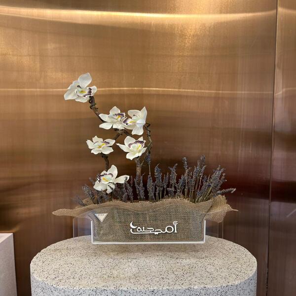 66c24d12_WhatsApp Image 2026-04-01 at 4.06.10 PM (1).jpeg